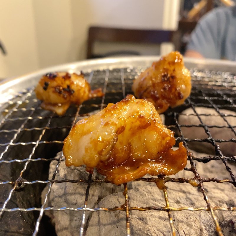 上ホルモン脂付(はがね)