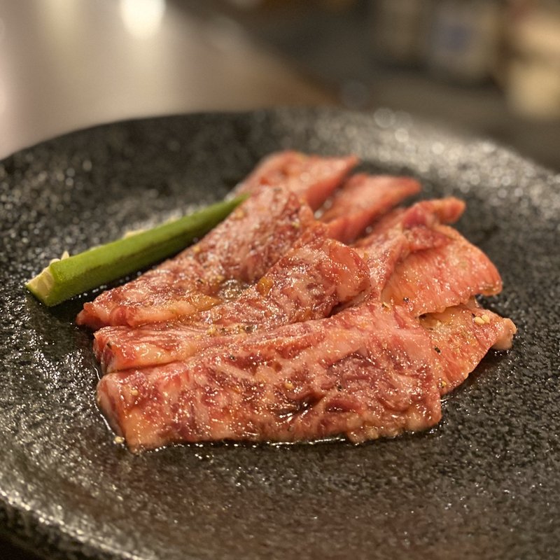 カルビ(はがね)