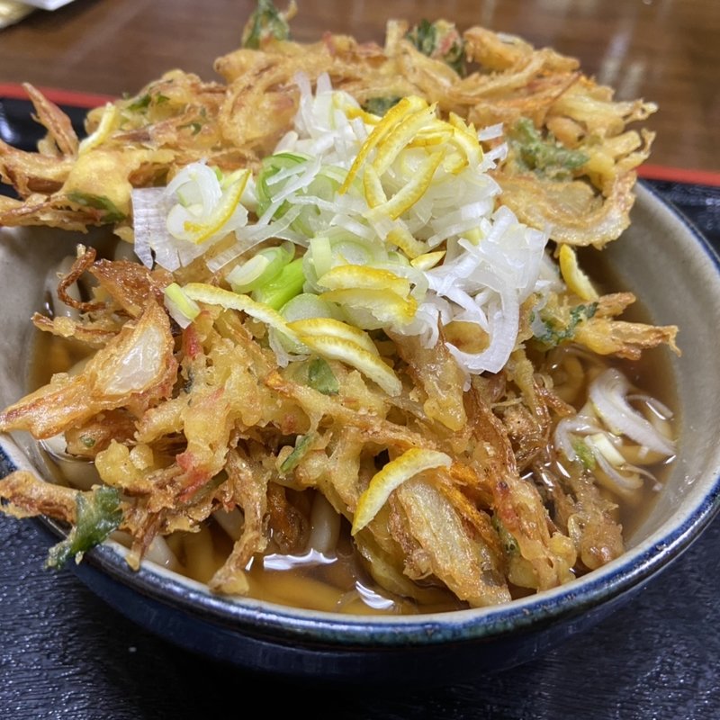 天ぷらうどん(手打ちうどん 山田屋 )