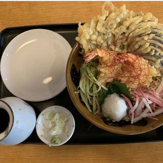 フィレンツェ茄子そば(そば うどん 朝日屋)