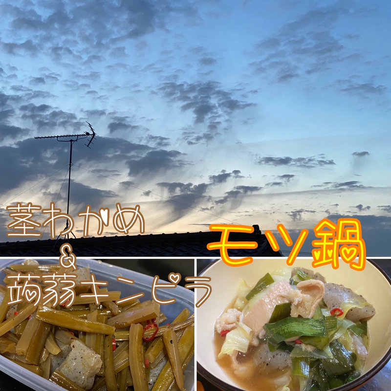 茎わかめ&蒟蒻キンピラ(自宅)