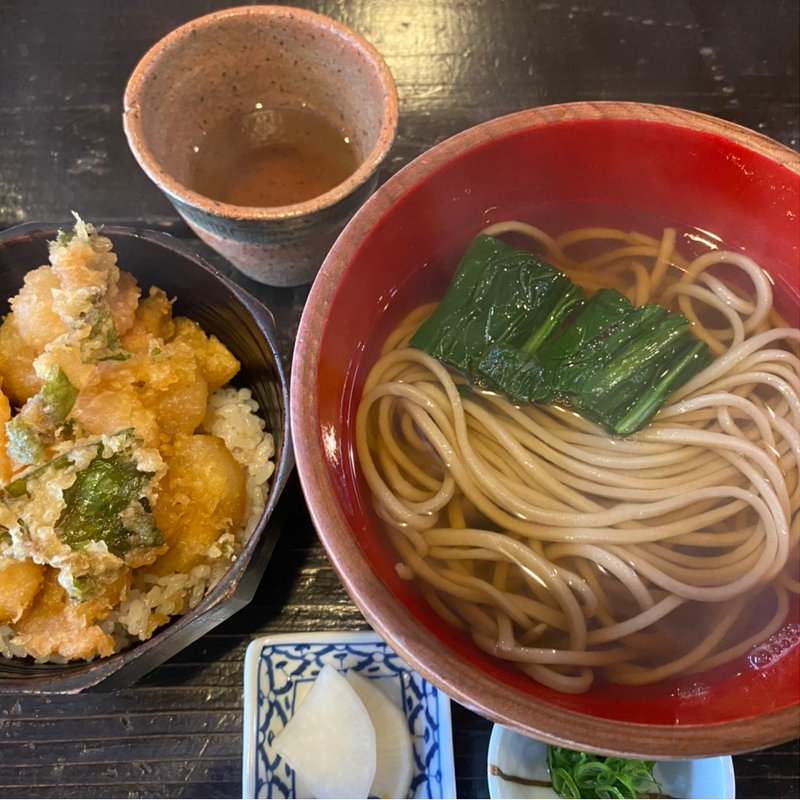 小エビとアオリイカのかき揚げ丼（小）と温かいお蕎麦のランチセット(土山人 ほたるまち店)