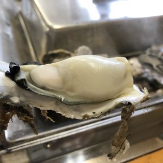 牡蠣食べ放題(かき小屋 （松島観光協会）)