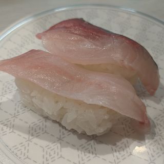 愛媛県宇和島遊子産かんぱち(はま寿司　蒲田駅東区役所前本通店)