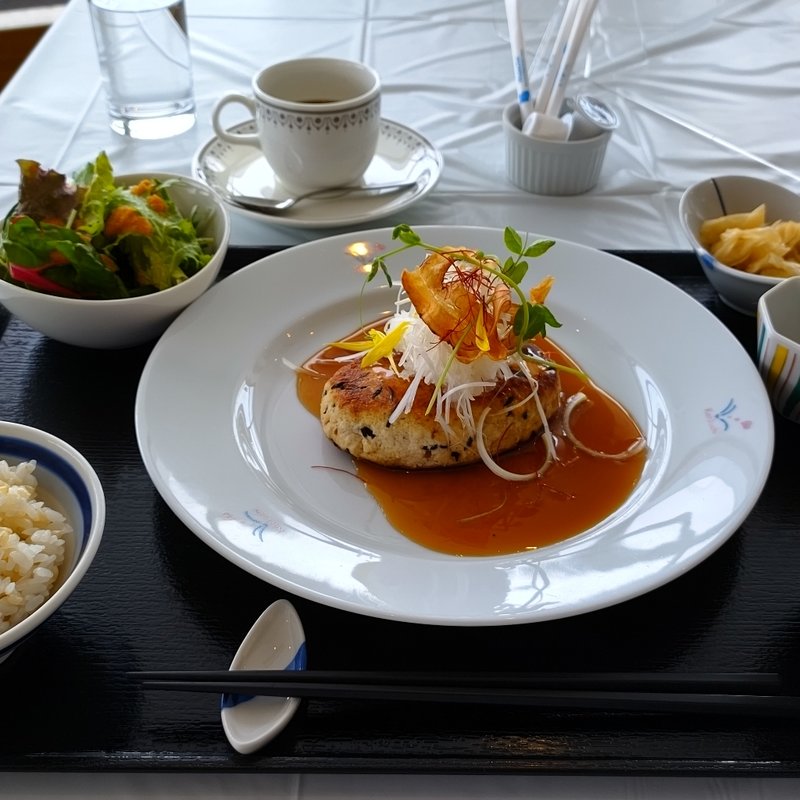 豆腐ハンバーグ　和風ソース(世田谷ファーム)