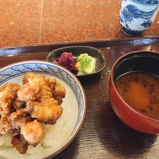 かき揚げ丼(京都祇園 天ぷら八坂圓堂 （きょうとぎおん てんぷら やさかえんどう）)