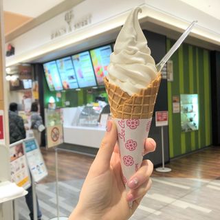 生乳ソフトクリーム(8 DAYS A SWEET SUNAMO店)