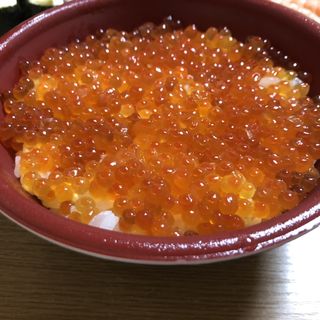 いくら丼(はま寿司 大仁店 )