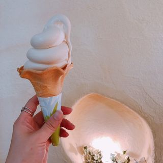 ソフトクリーム(プリンの森・カフェ)