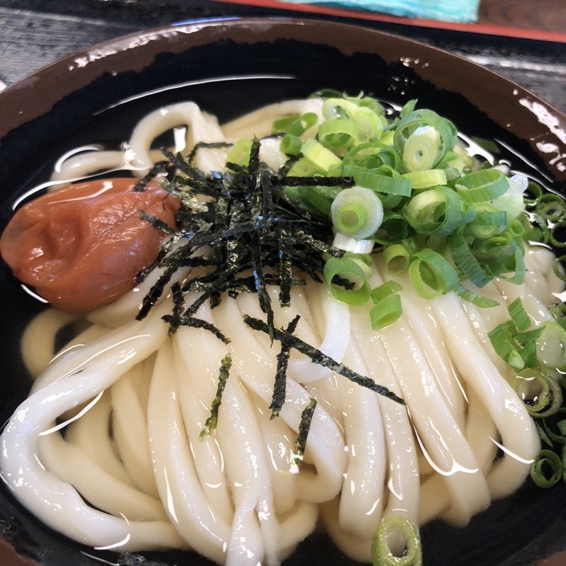 (手打十段 うどんバカ一代)