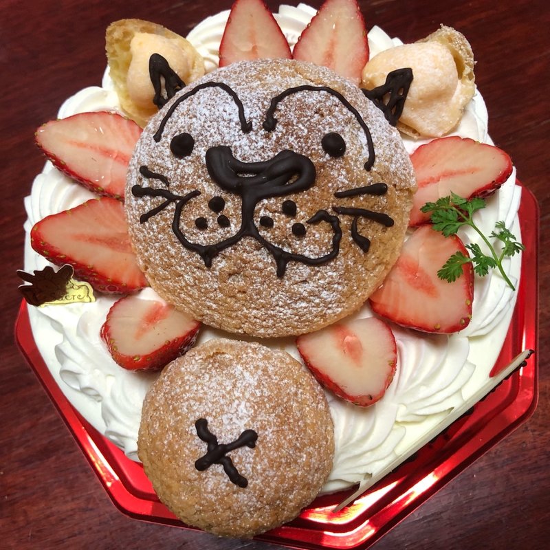 動物ショート(ル・シュクル)