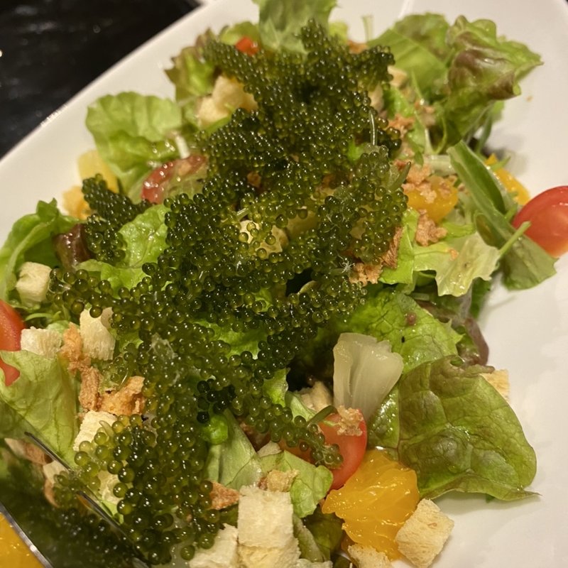 海ブドウのサラダ(島の猿)