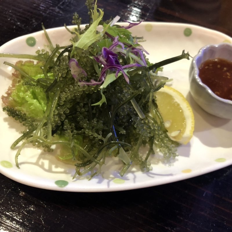 海ぶどう(美ら海太郎 （チュラウミタロウ）)