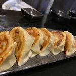 島らっきょの餃子(島の猿)