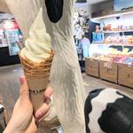 なかしべつソフトクリーム(MILKLAND HOKKAIDO→TOKYO　ミルクランド北海道)