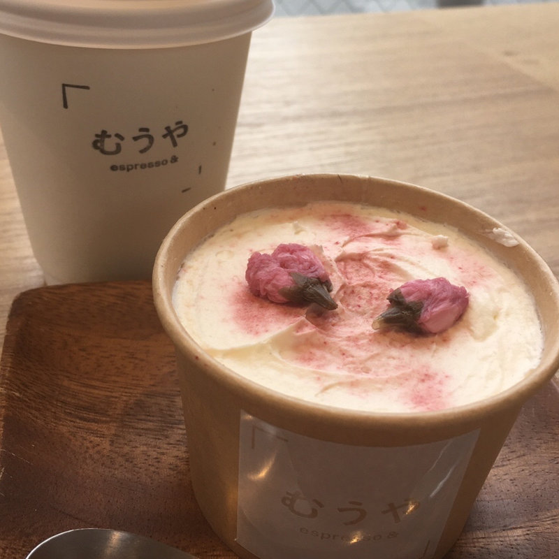 むうティラミス　桜(むうや)