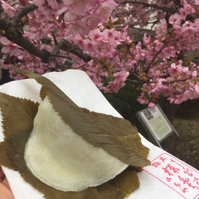墨田区でのおすすめ桜餅BEST5 | SARAH[サラ]