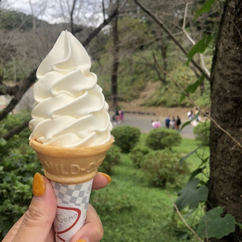 ソフトクリーム(ミルクプラント)