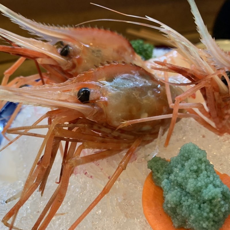 ガス海老(魚人 )