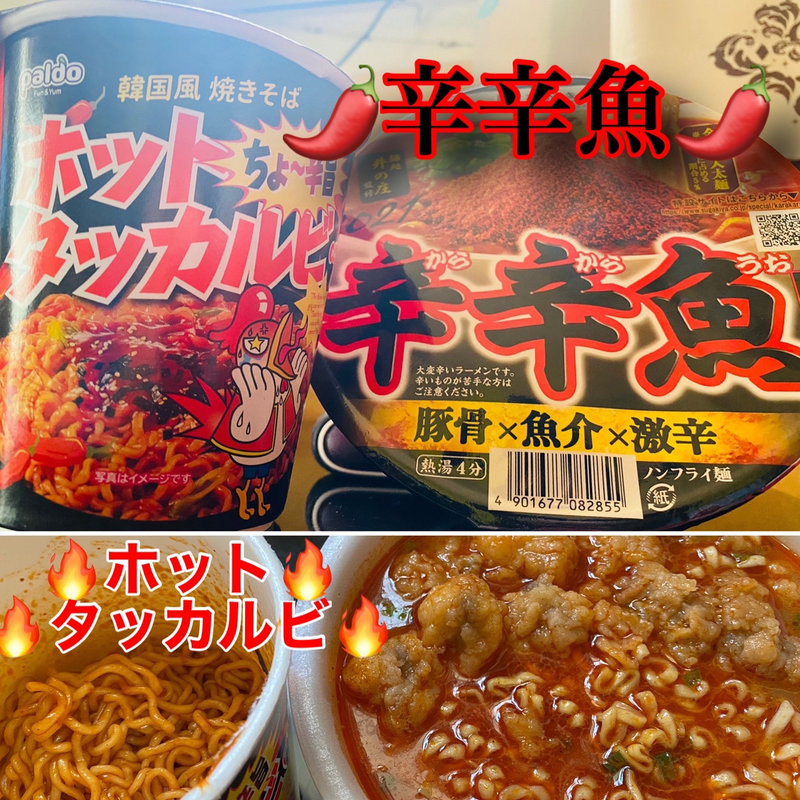 辛辛魚&ホットタッカルビ(自宅)