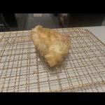 牡蠣