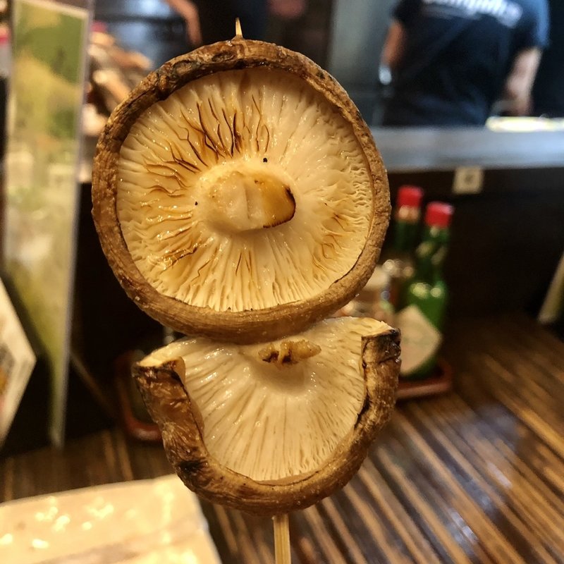 生椎茸(とりかわ 粋恭)