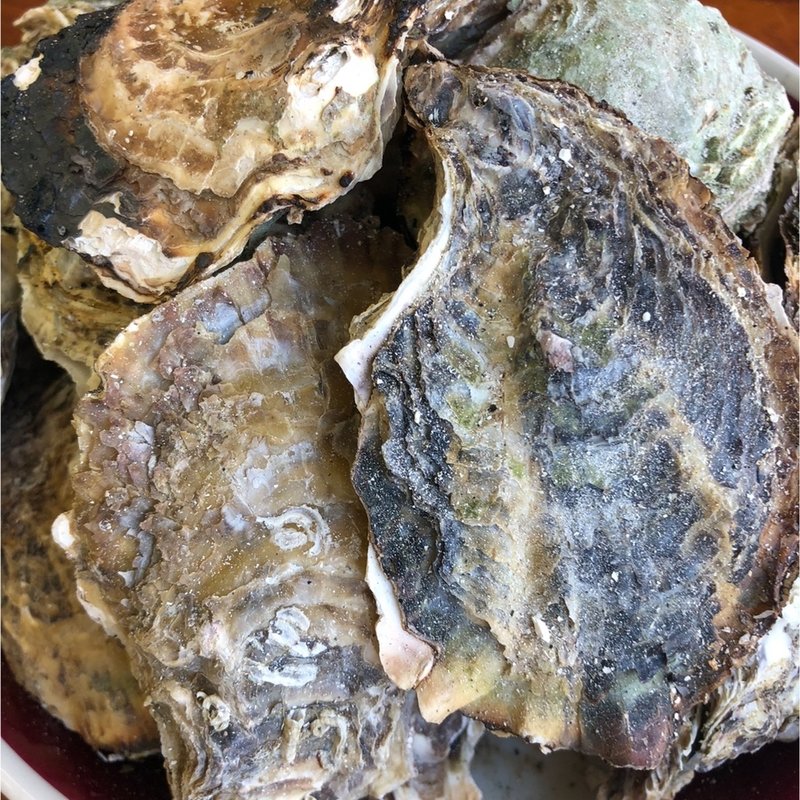 カキ食べ放題(モトかき養殖場 )