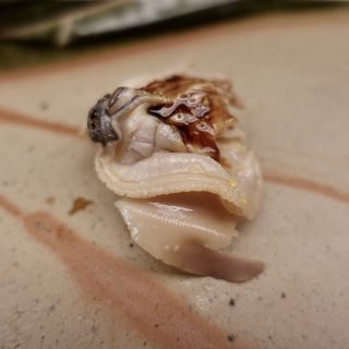 蛤(鮨木場谷 （スシキバタニ）)