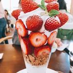 さちのかいちごスペシャルパフェ