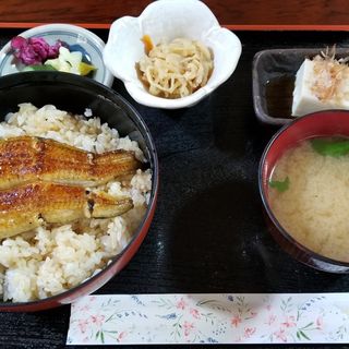 うな丼(寿々川)