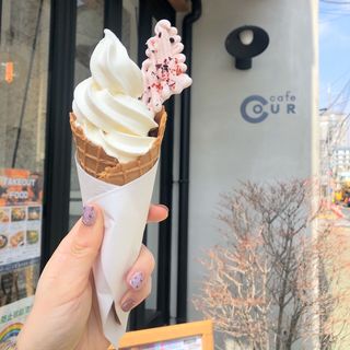 北海道生乳ソフトクリーム(cafe cour カフェ クール)