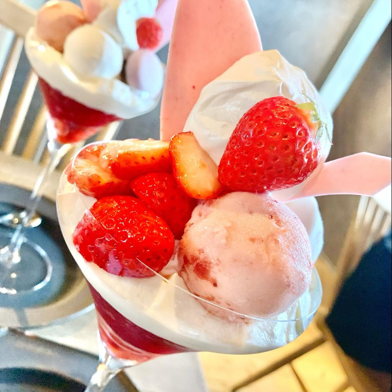 (DORUMIRU.yasakanotou)