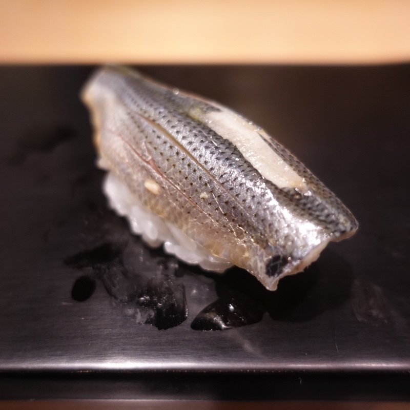 コハダ(幸寿し 本店)