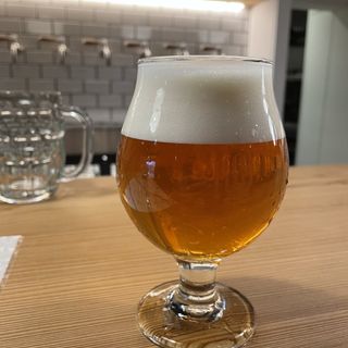 クラフトビール(Kobo Brew Pub)