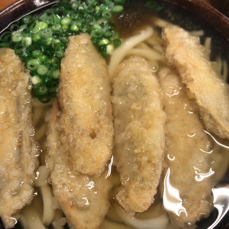 ごぼう天うどん(麺房 てうち庵 八女店)