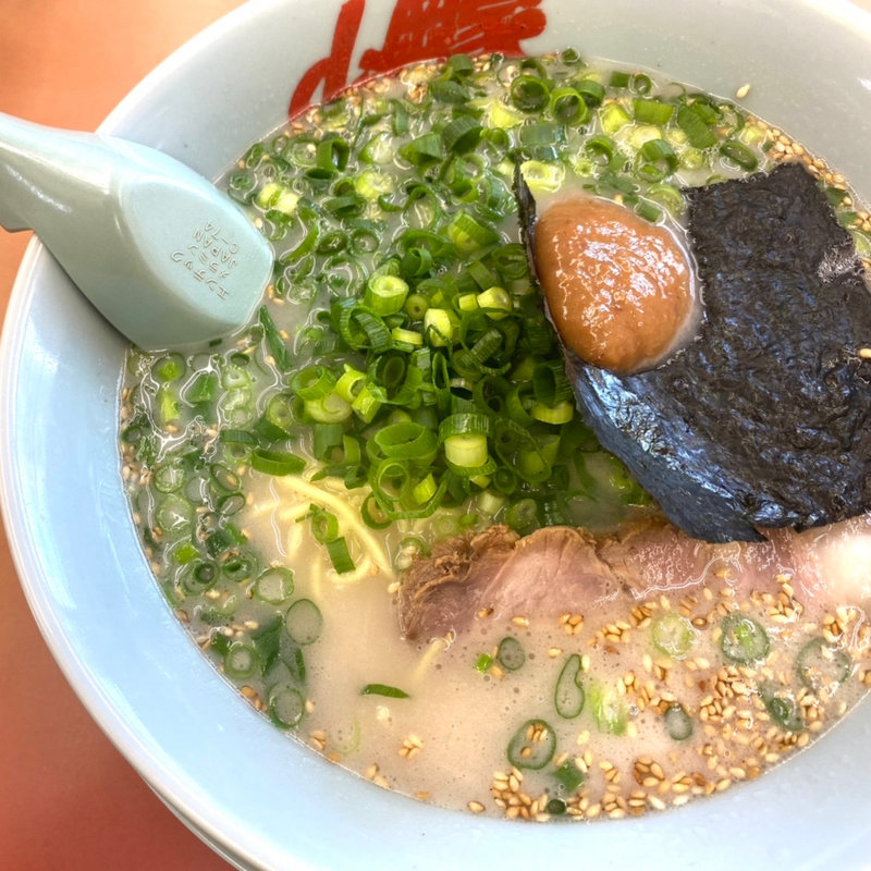 朝ラーメン＋青ねぎ(ラーメン山岡家 月寒店 （やまおかや）)