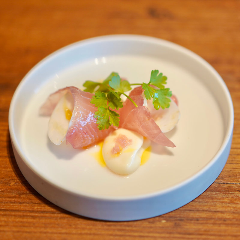 FIPビンチョウマグロと根セロリ(Sincere Blue)