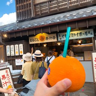 生搾りオレンジジュース(まるごと果汁店)