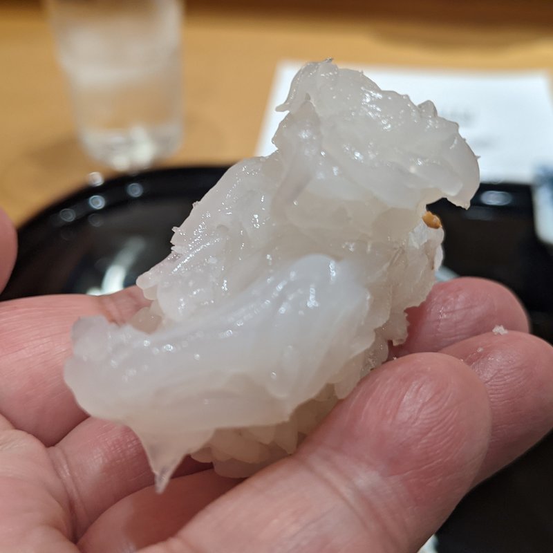 イカ(小松 弥助)