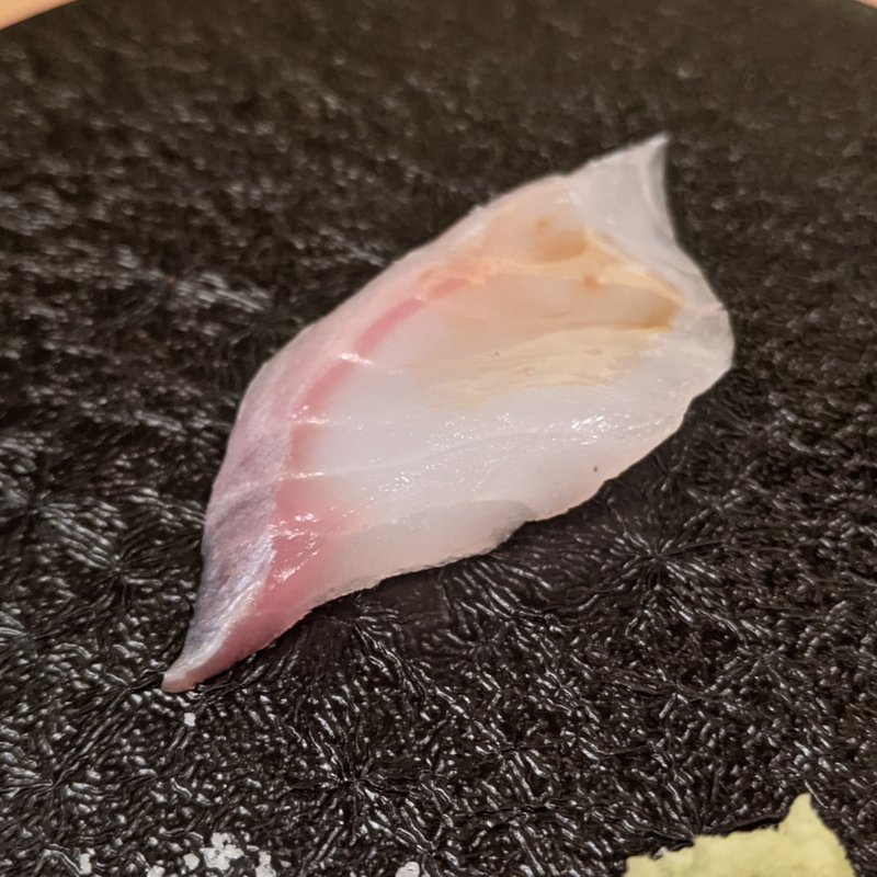 富山産ハタ(GEJO)