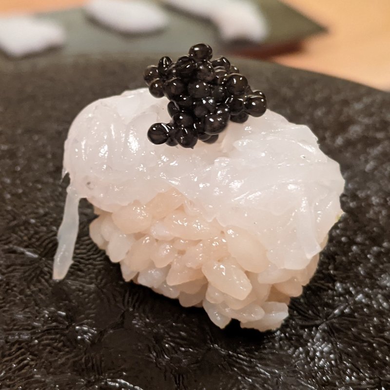 岩瀬産アオリイカ(GEJO)