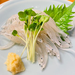 白魚刺身(にしきや )