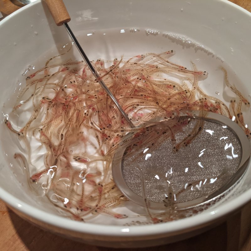 白魚の踊り食い(居酒屋　純ちゃん )