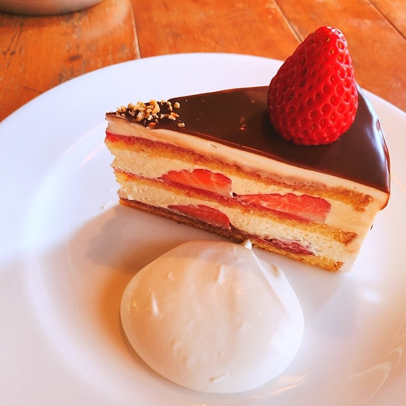 ショートケーキチョコレートがけ(イロドリ （irodori）)