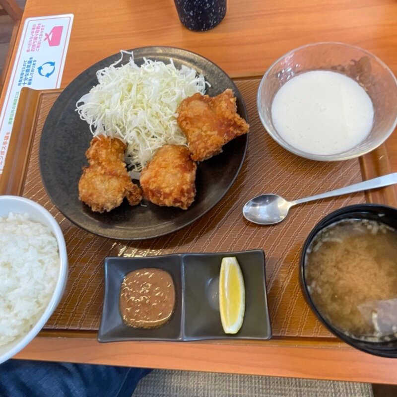 レディース定食(から好し 横浜岡津店)