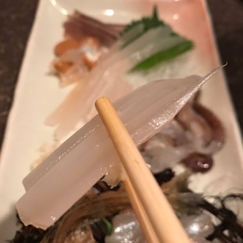 活ヤリイカ刺(活食・隠れ酒蔵 かけはし)