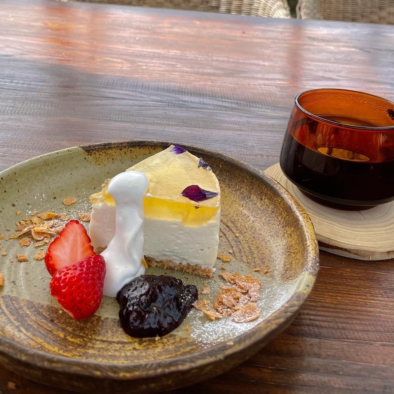 レアチーズケーキセット(cafe Karin　果林 （カリン）)