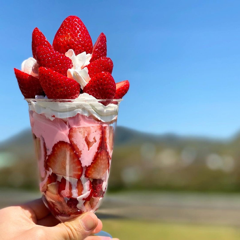 いちごDARAKE（だらけ）(田布施地域交流館 お休み処 sakura michi（さくらみち）)