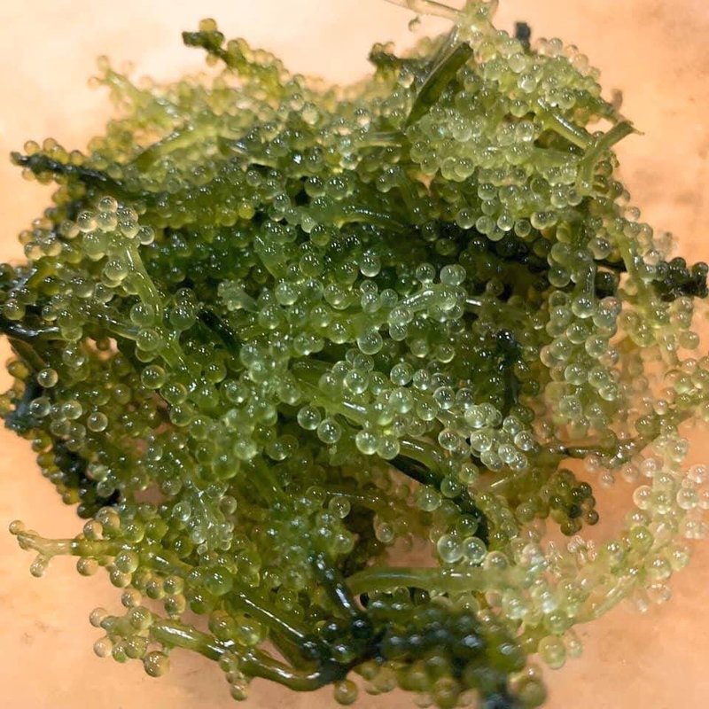 海ぶどう(吉崎食堂 恵比寿店)