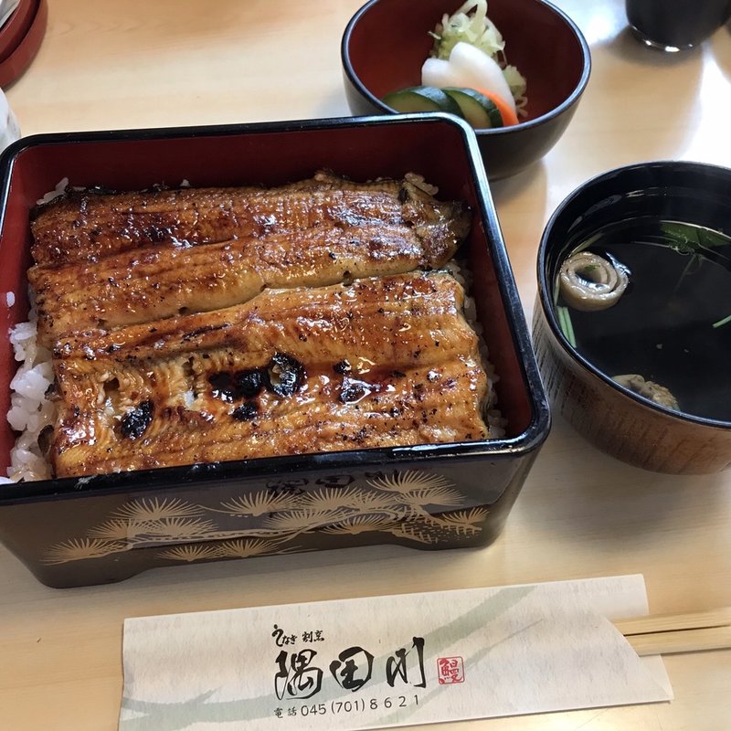 うな重(隅田川 うなぎ)